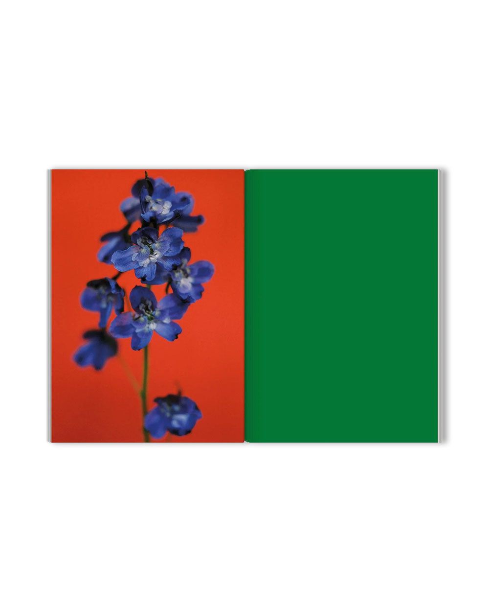 The Chromatics of Flowers