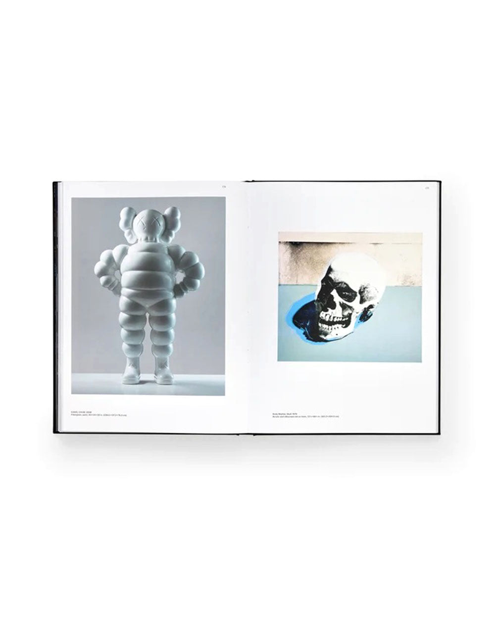 Kaws & Warhol