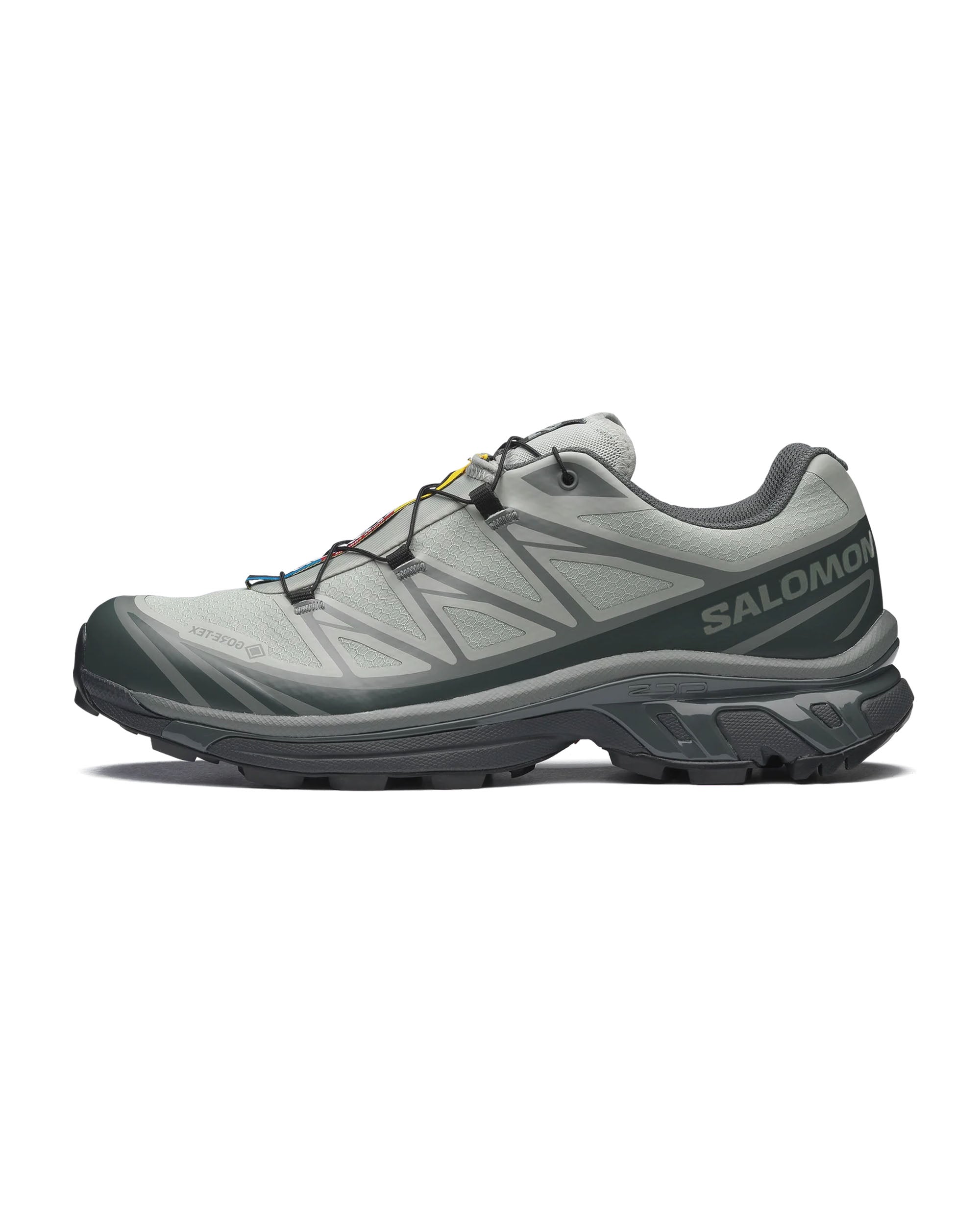 XT-6 GTX - Wrought Iron / Urban Chic / Sedona Sage