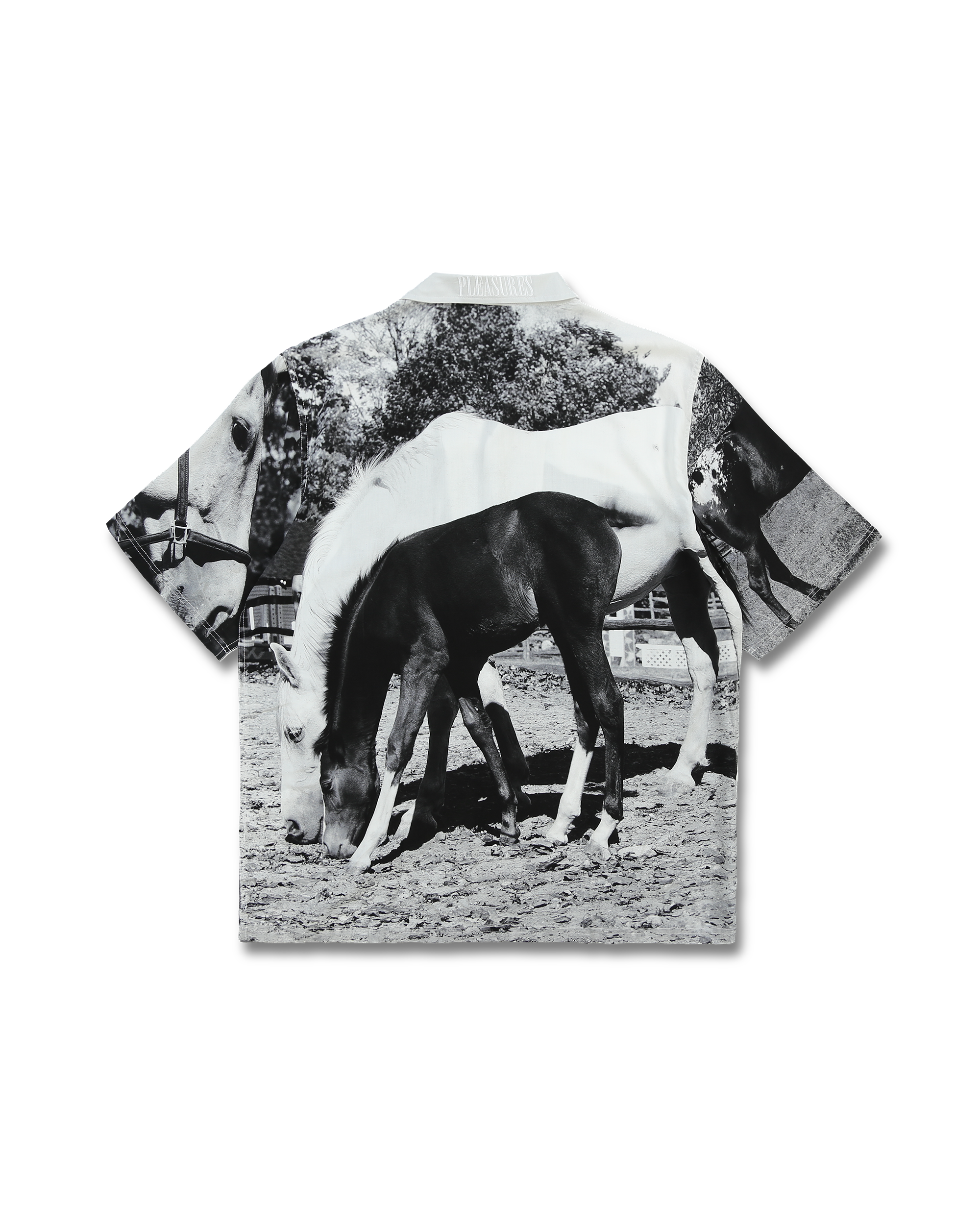 Horses Button Down - White