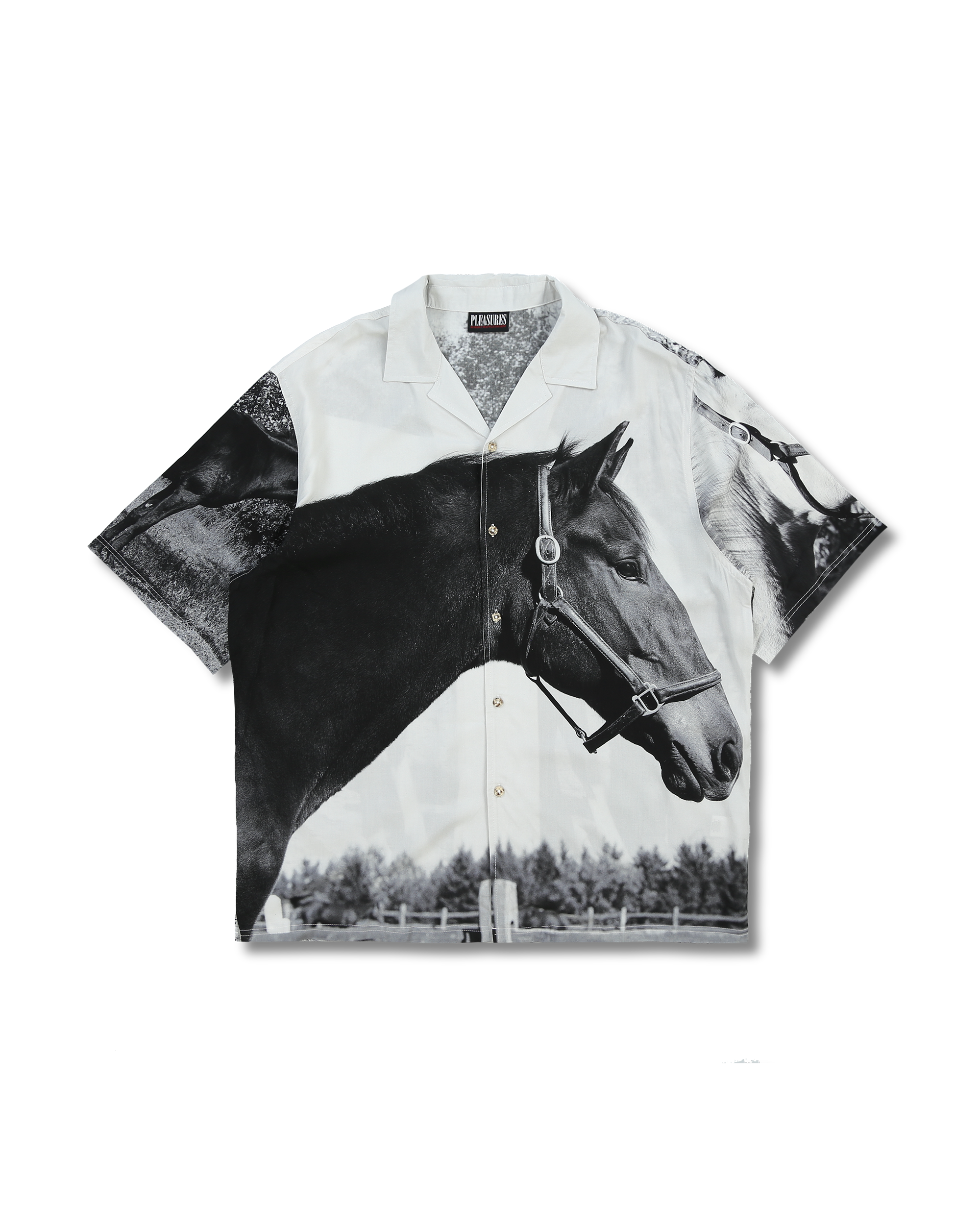 Horses Button Down - White