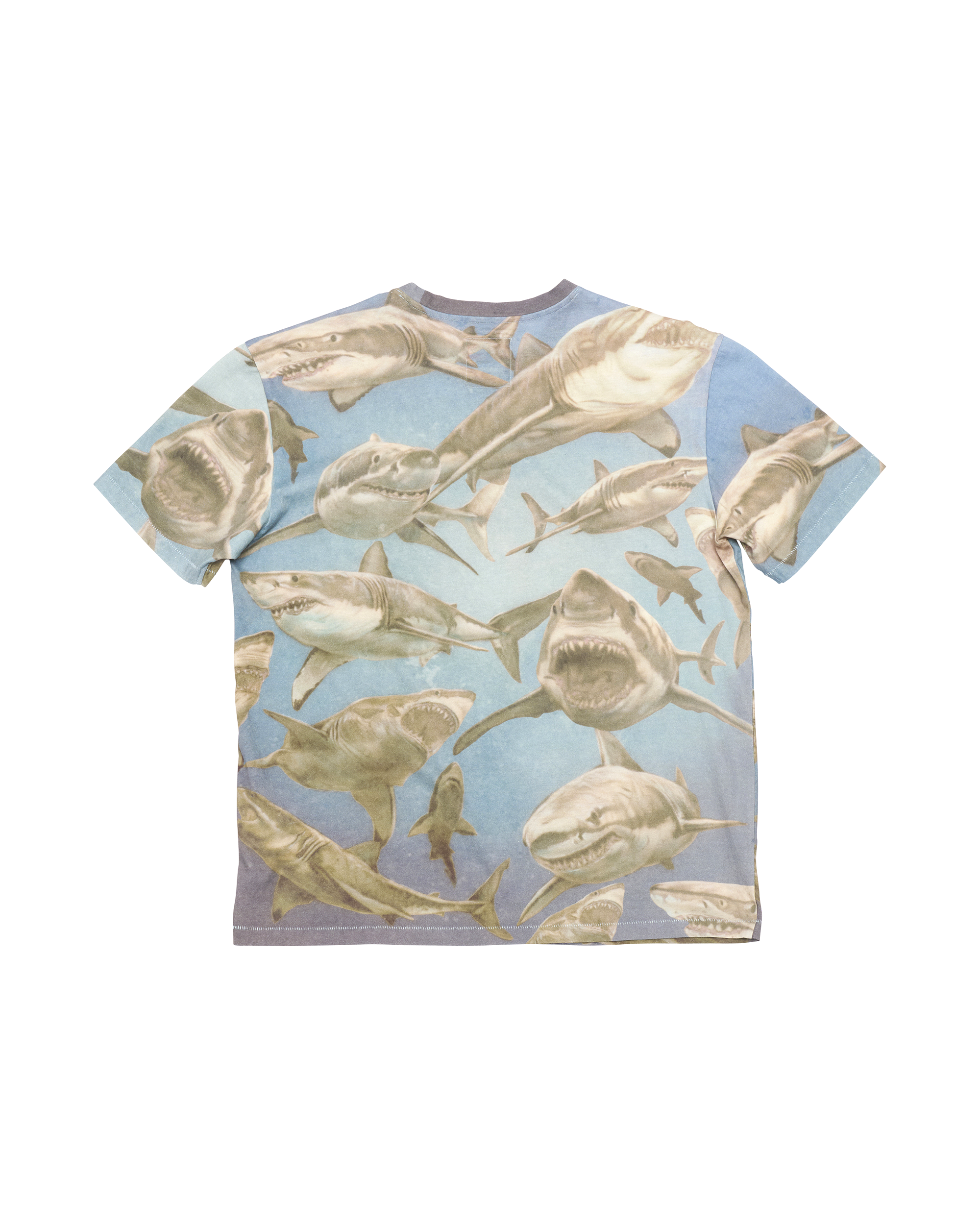 Franz T-Shirt - Shark Print
