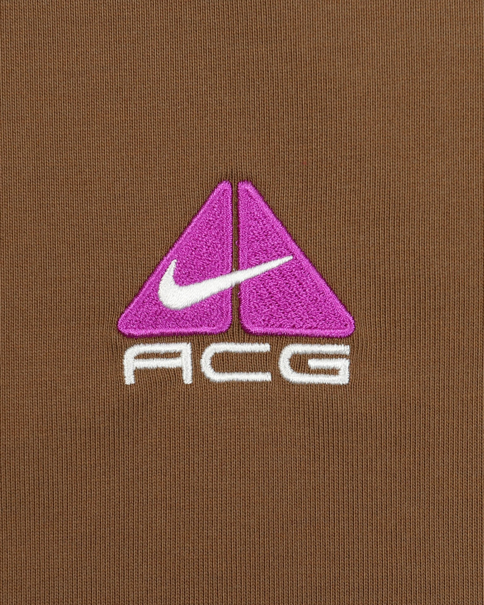 ACG Lungs T-shirt - Mosswood Brown