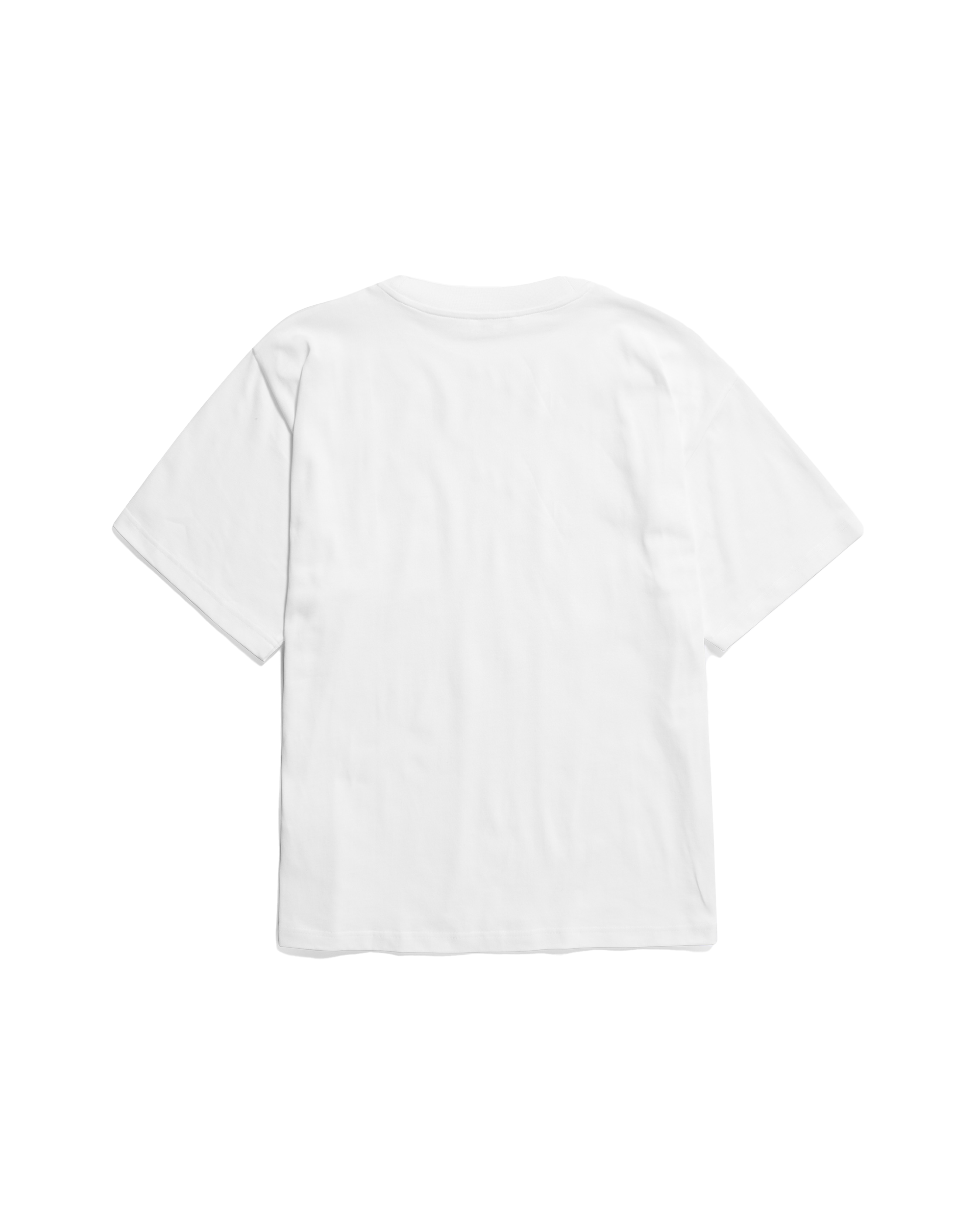 Standard Heavy T-shirt - White