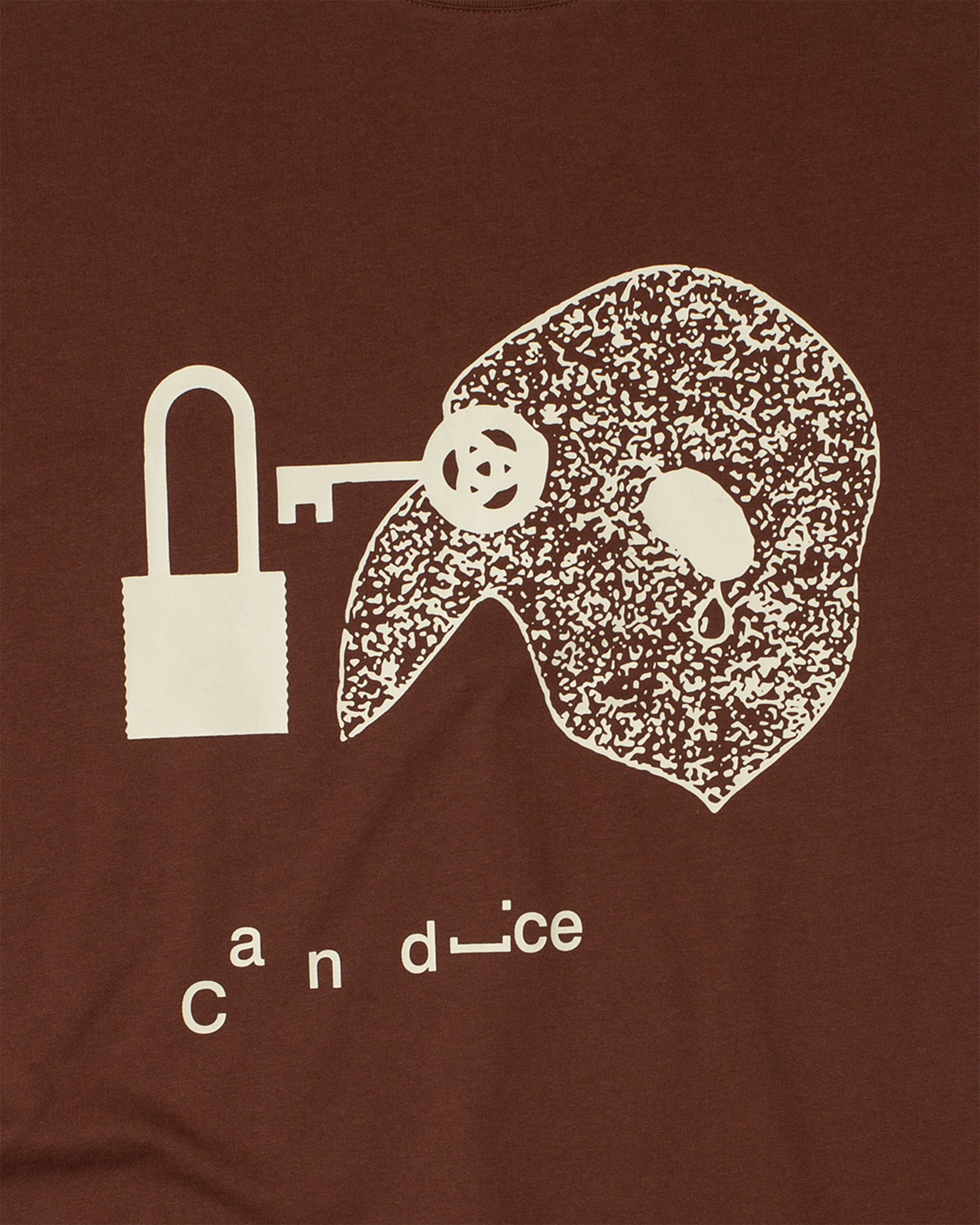 Secrets T-Shirt - Brown