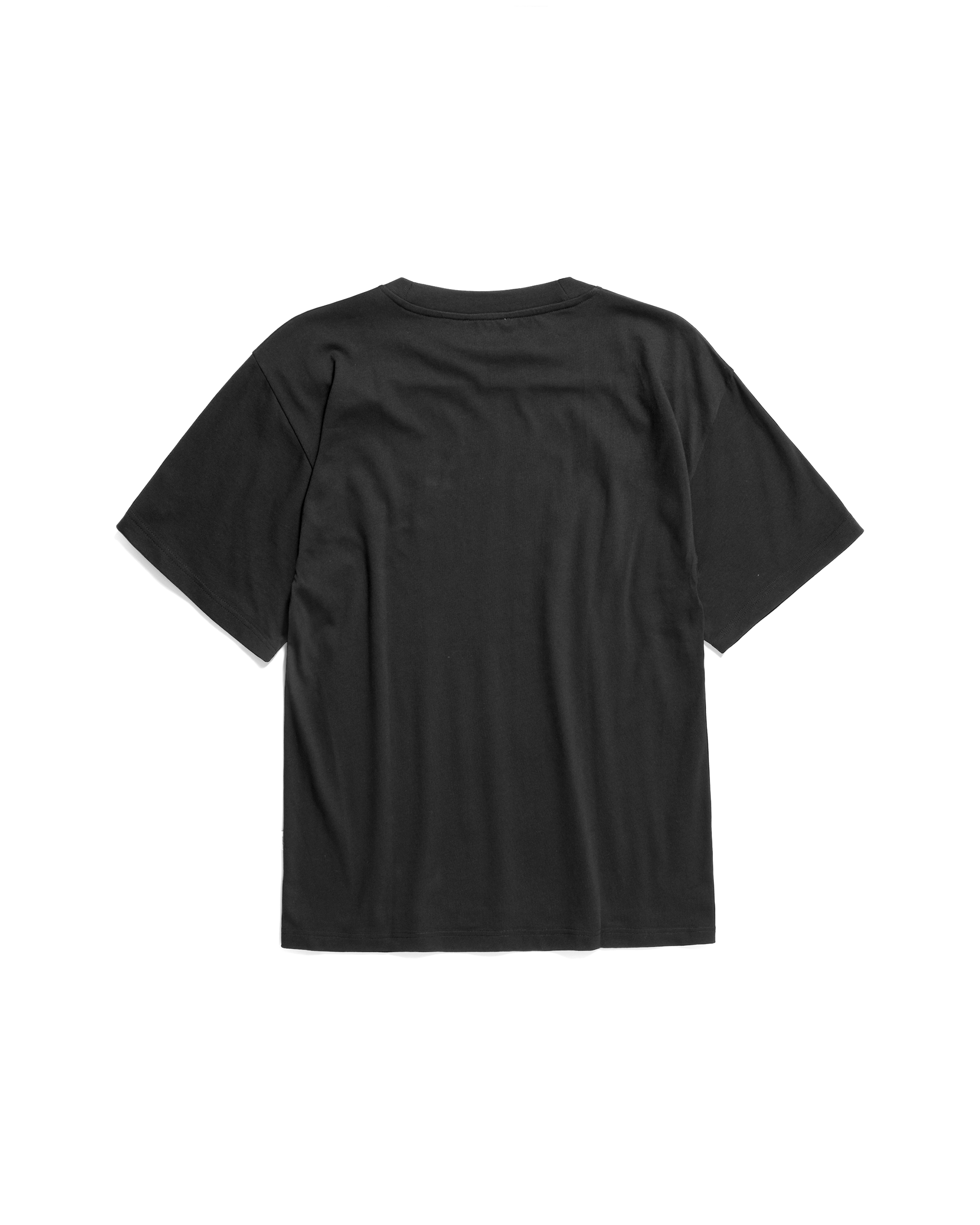 Standard Heavy T-shirt - Black