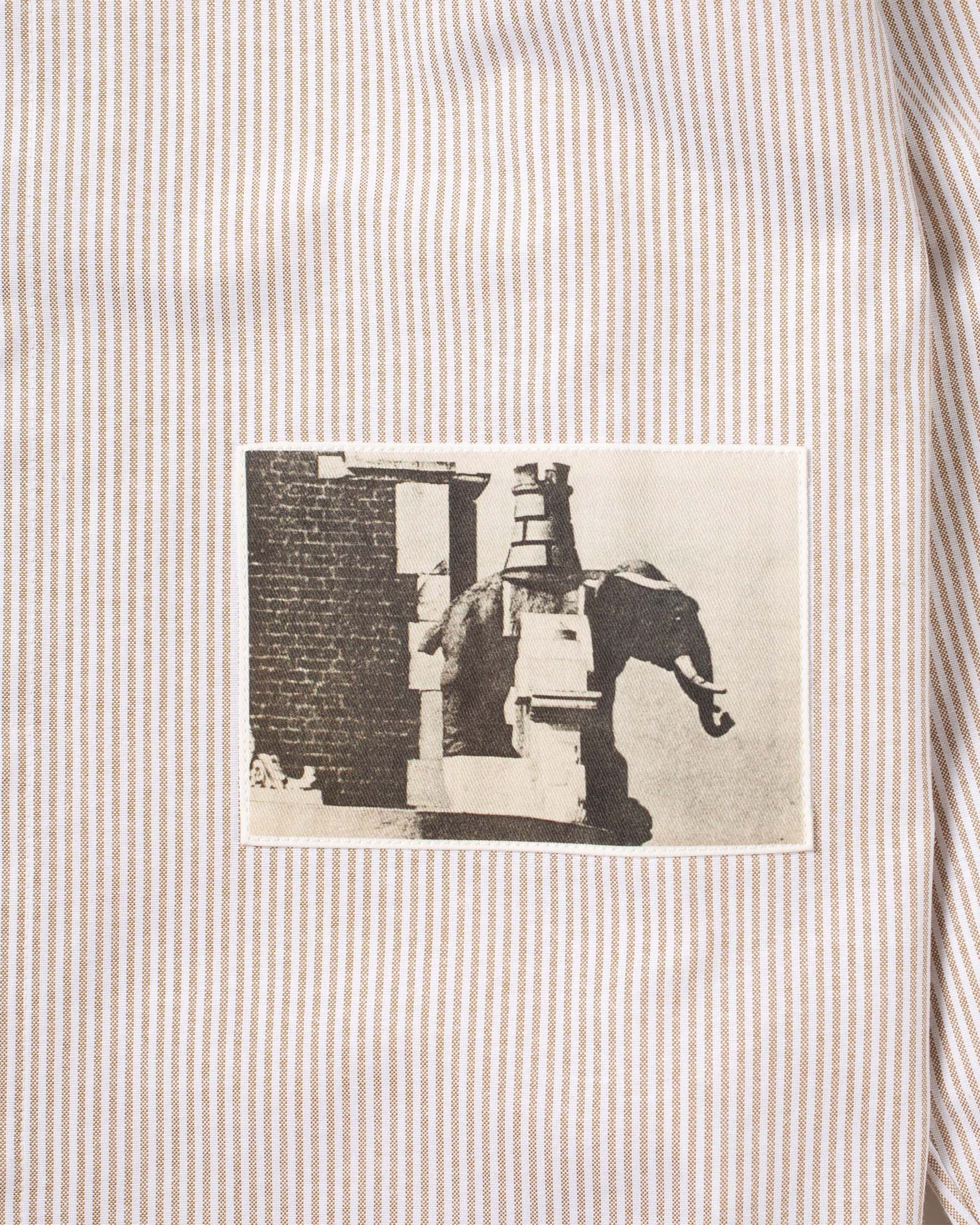 Winchester Oxford Shirt - Brown