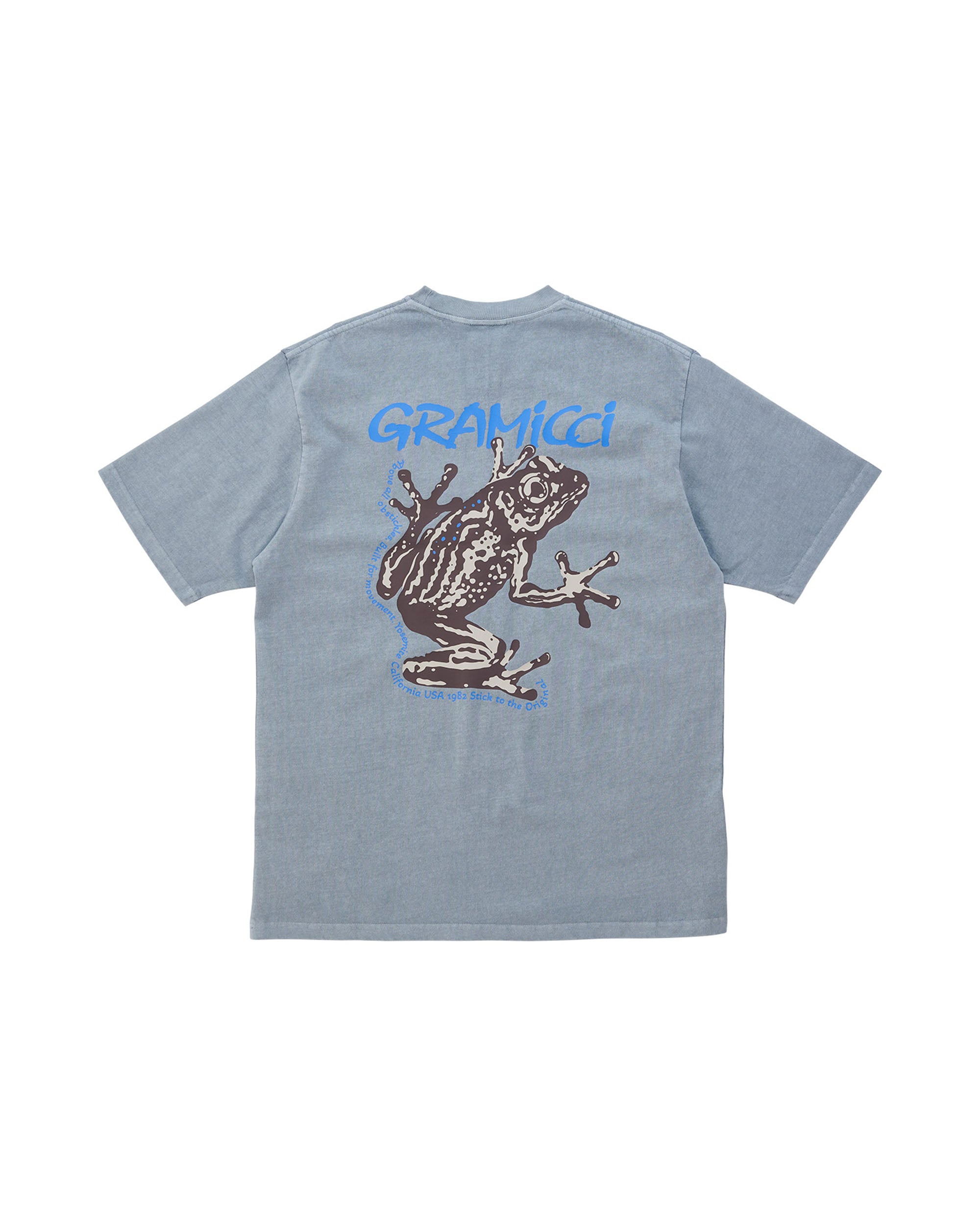 Sticky Frog T-Shirt - Slate Pigment