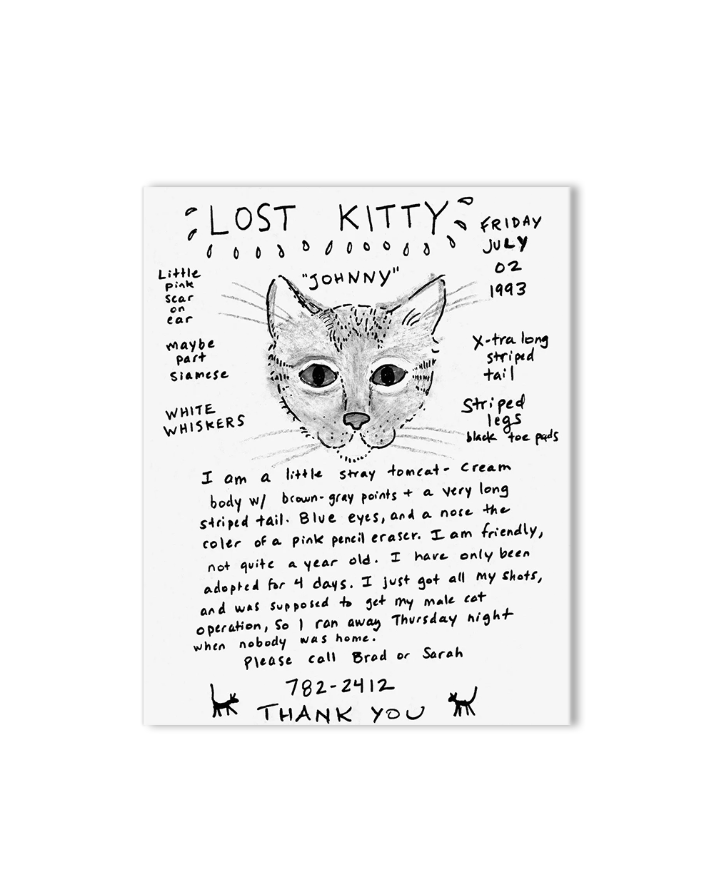 Still Missing - The Folk Art of Pet Posters