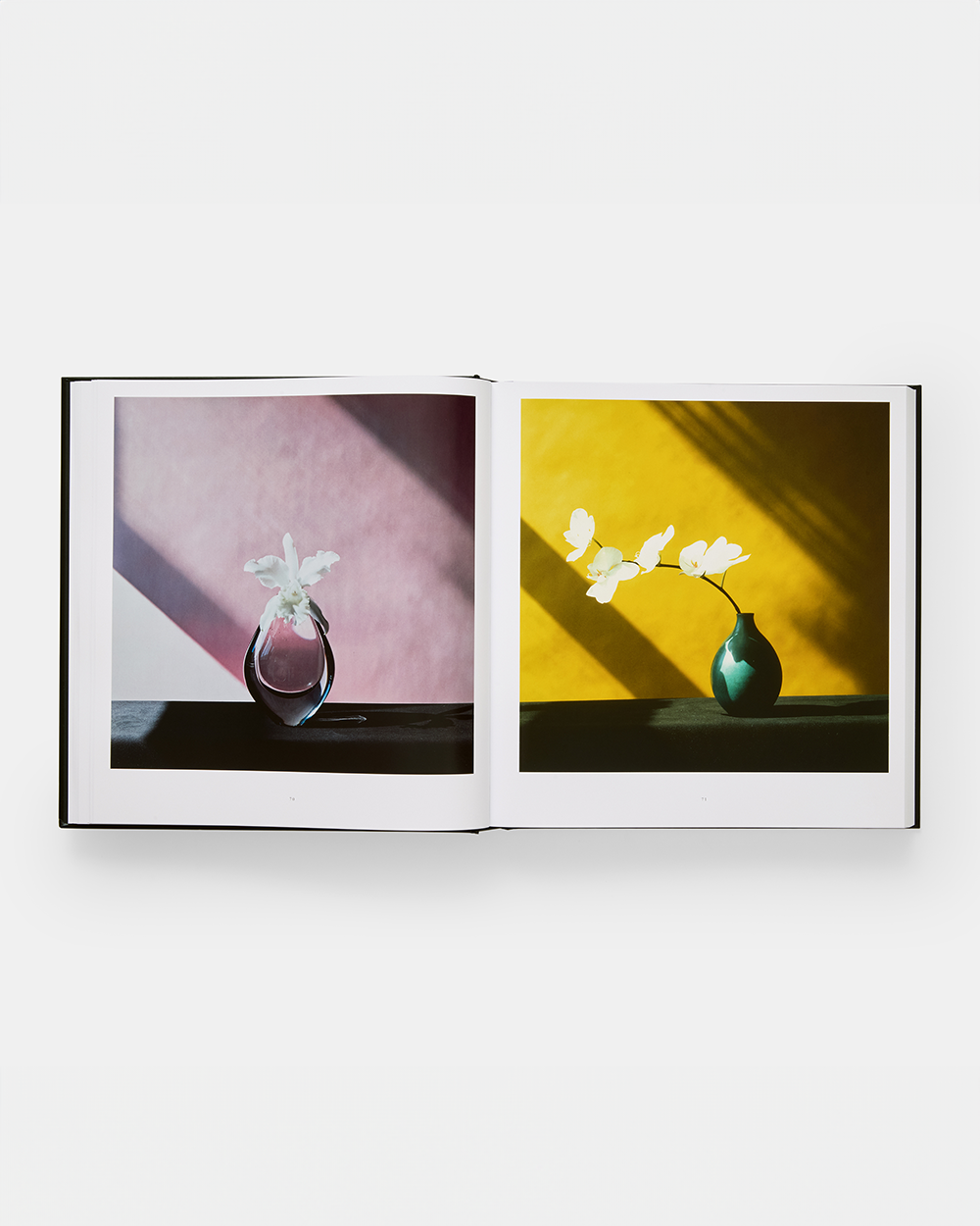 Mapplethorpe Flora - The Complete Flowers – HIGHS AND LOWS Mapplethorpe Flora - The Complete Flowers – HIGHS AND LOWS