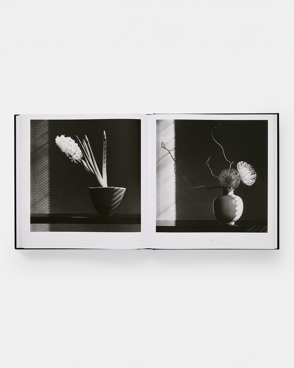 Mapplethorpe Flora - The Complete Flowers