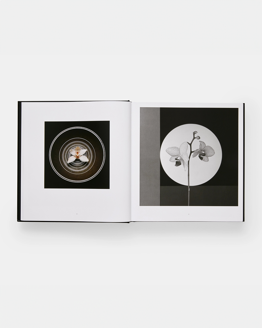 Mapplethorpe Flora - The Complete Flowers