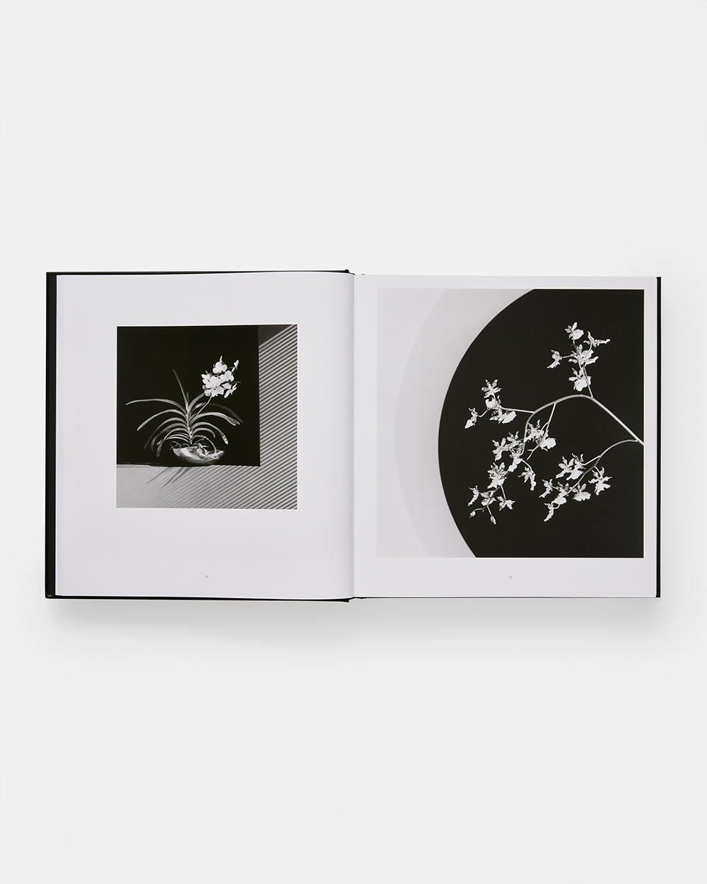 Mapplethorpe Flora - The Complete Flowers