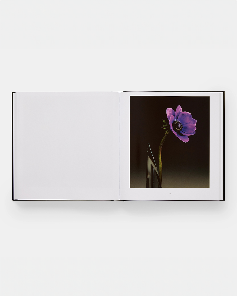 Mapplethorpe Flora - The Complete Flowers – HIGHS AND LOWS Mapplethorpe Flora - The Complete Flowers – HIGHS AND LOWS