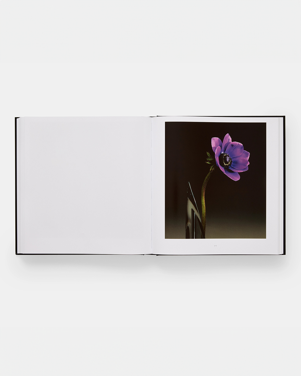 Mapplethorpe Flora - The Complete Flowers