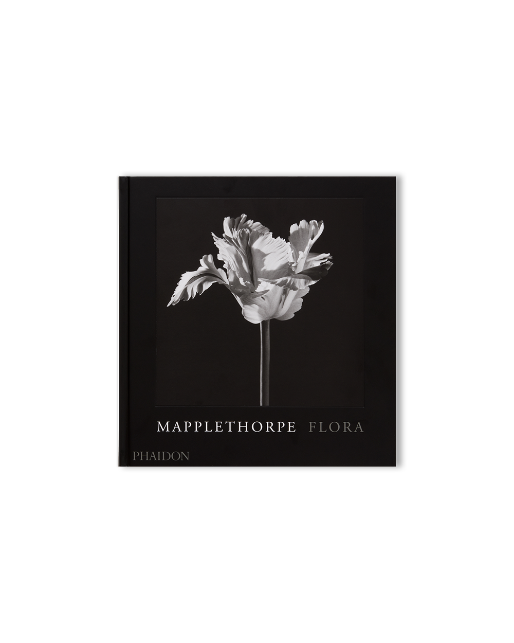 Mapplethorpe Flora - The Complete Flowers