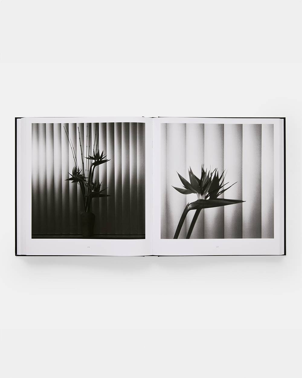 Mapplethorpe Flora - The Complete Flowers