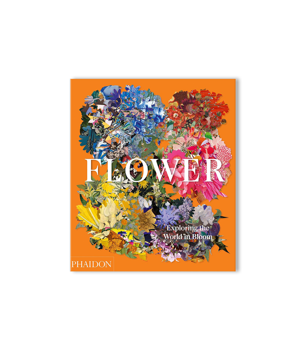 Flower: Exploring the World in Bloom