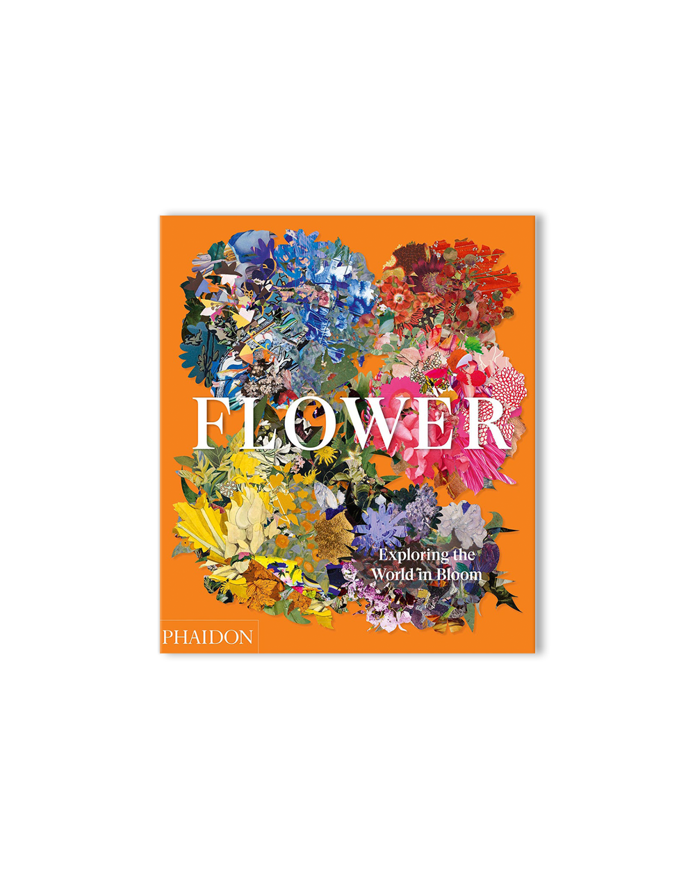 Flower: Exploring the World in Bloom