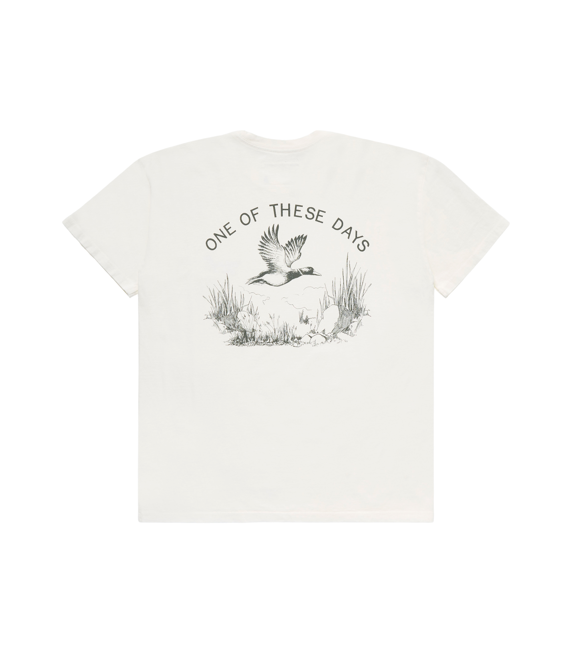 Mallard Hunt T-shirt - Bone