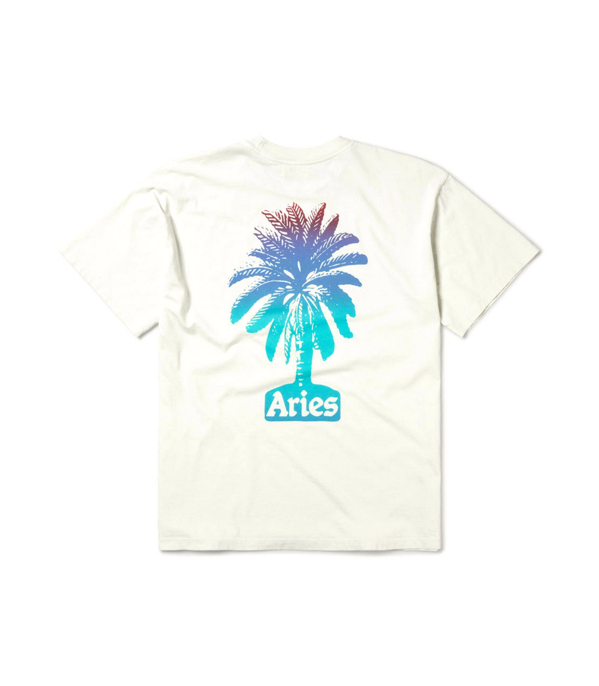 Palm T-Shirt - Frost