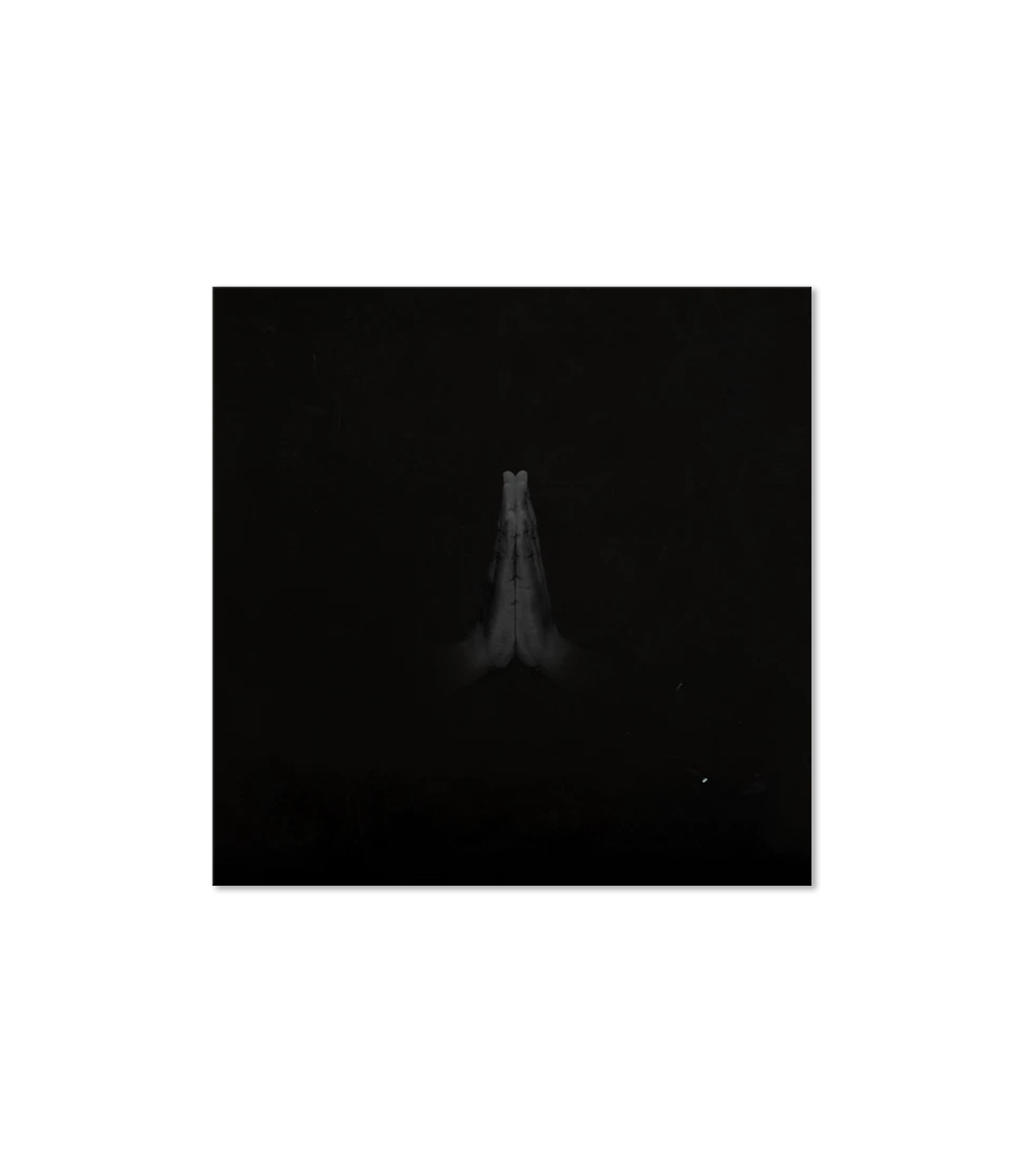 Untitled (Rise)