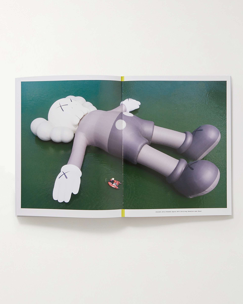 KAWS - WHAT PARTY (Black on Pink edition)