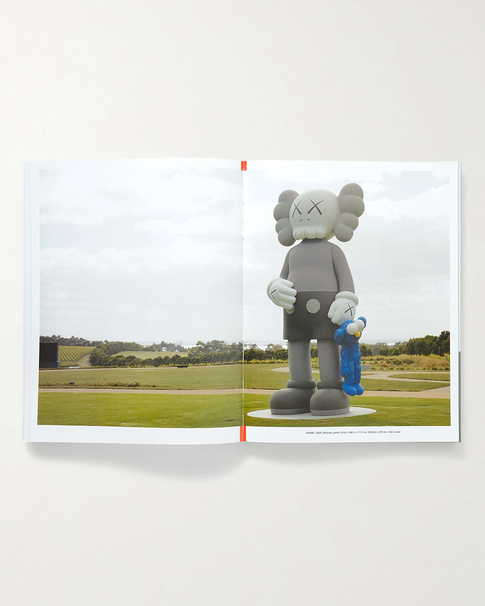 KAWS - WHAT PARTY (Black on Pink edition)